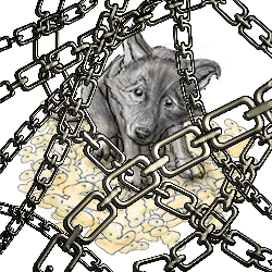 Puppy, behind Chains