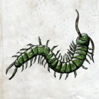 The Centipede (~602, under the surfaces of things) [Enemies Endure]