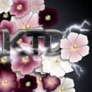 KTD Logo (from the Beta Release, April 2013) [Enemies Endure]